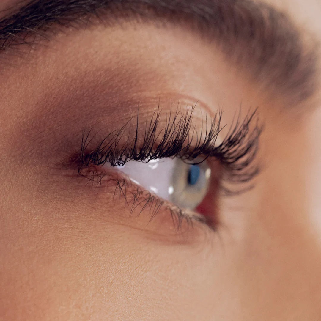 EVERYTHING YOU NEED TO KNOW ABOUT YOUR LASH CYCLE